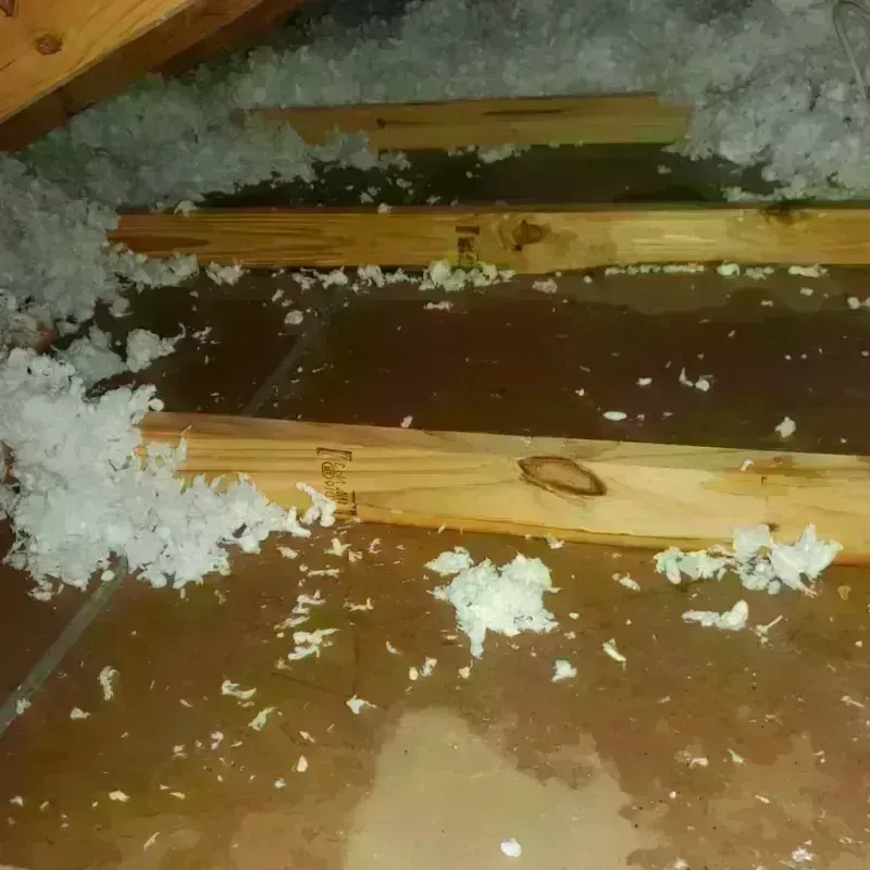 Attic Water Damage in Timberlake, VA