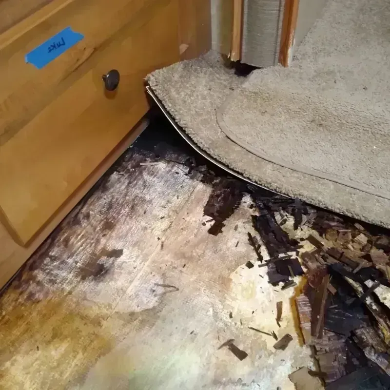 Wood Floor Water Damage in Timberlake, VA